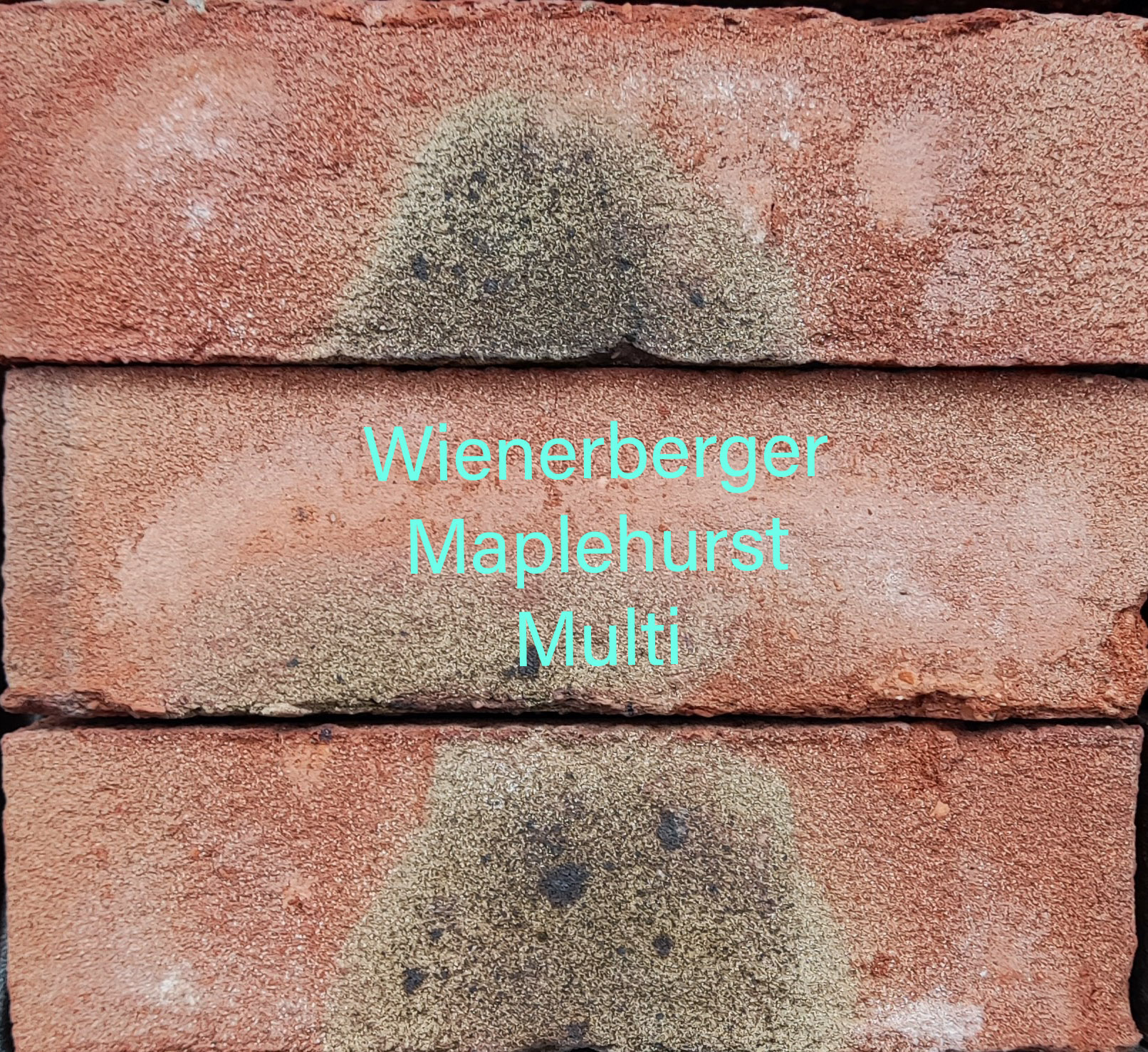Maplehurst multi stock