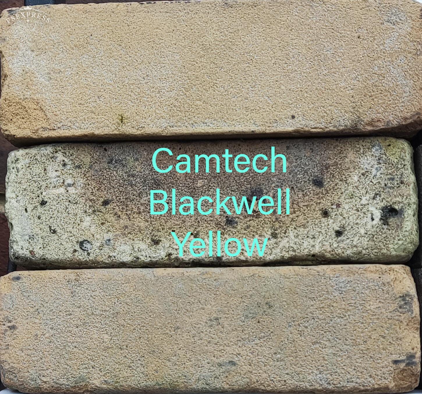 Camtech Blackwall Yellow