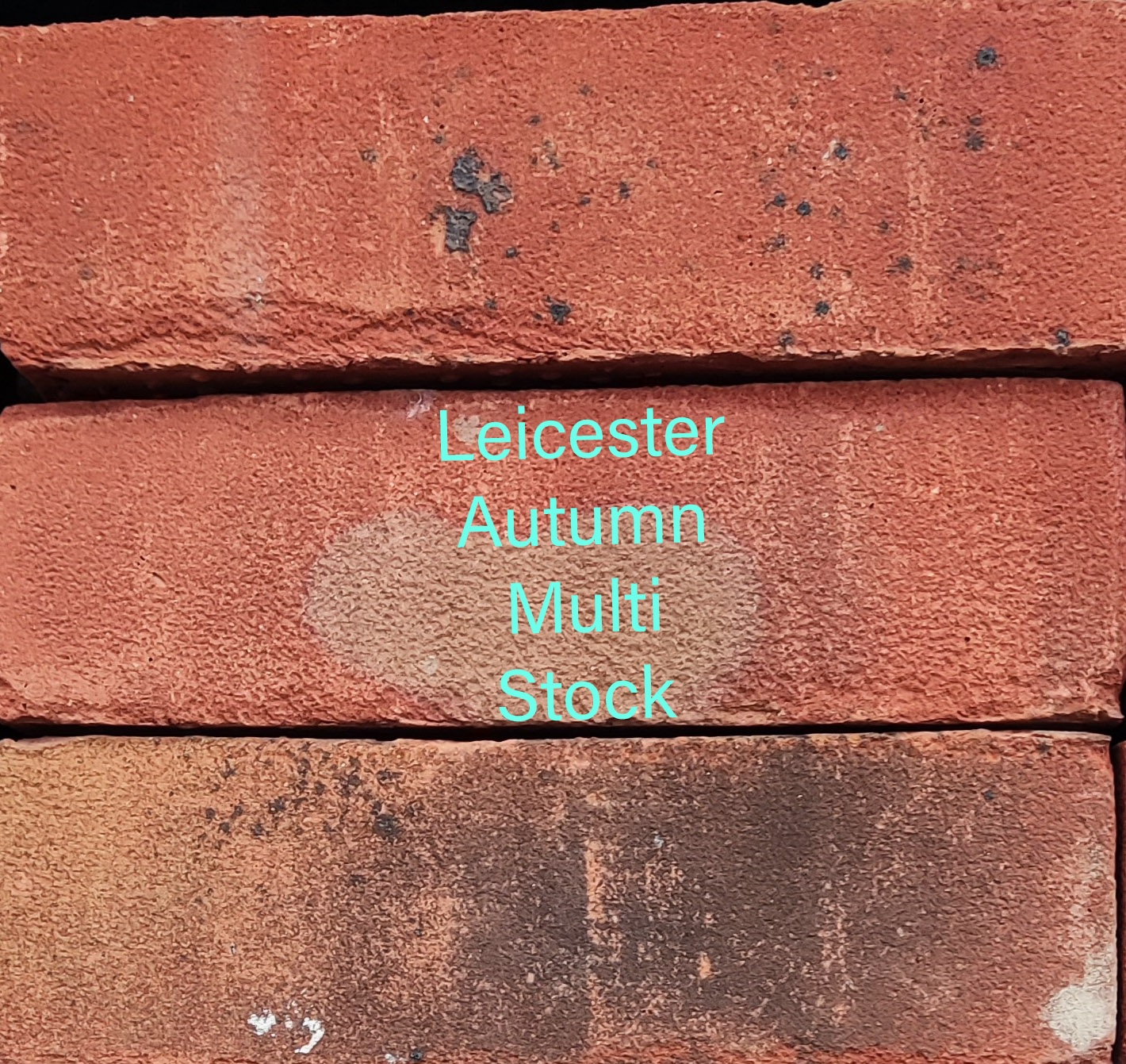 Leicester Autumn Multi