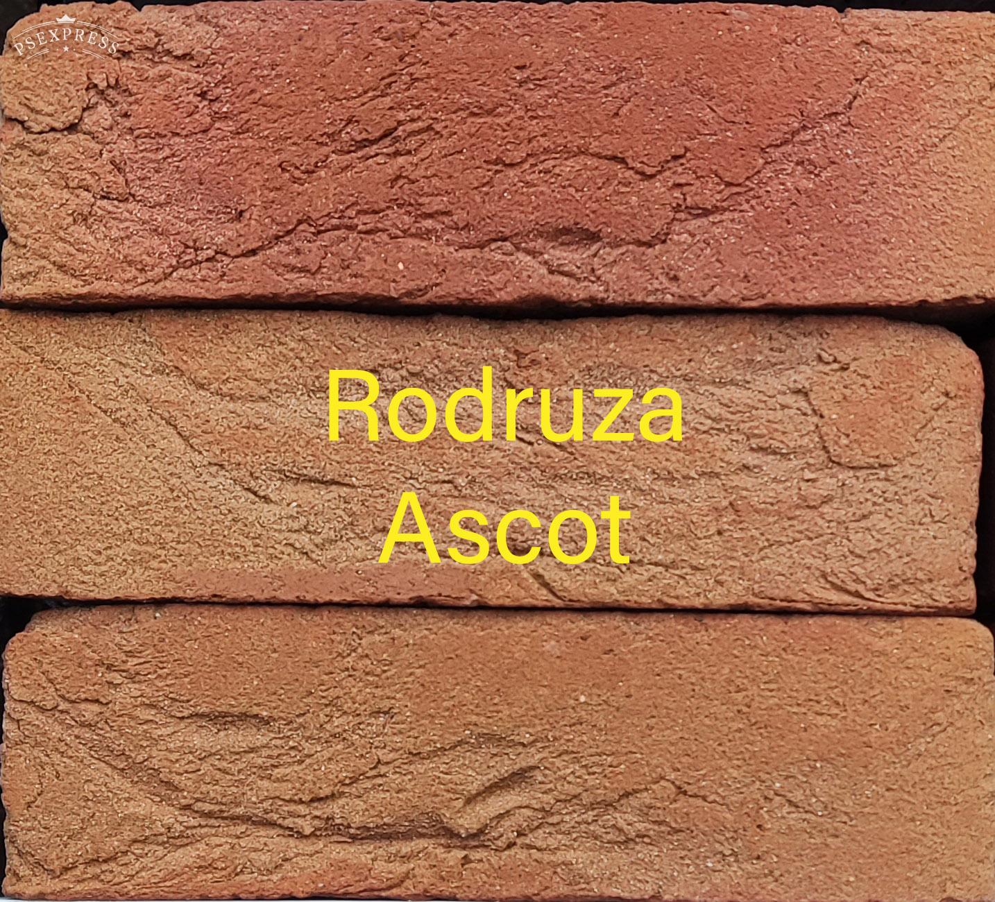 Rodruza Ascot