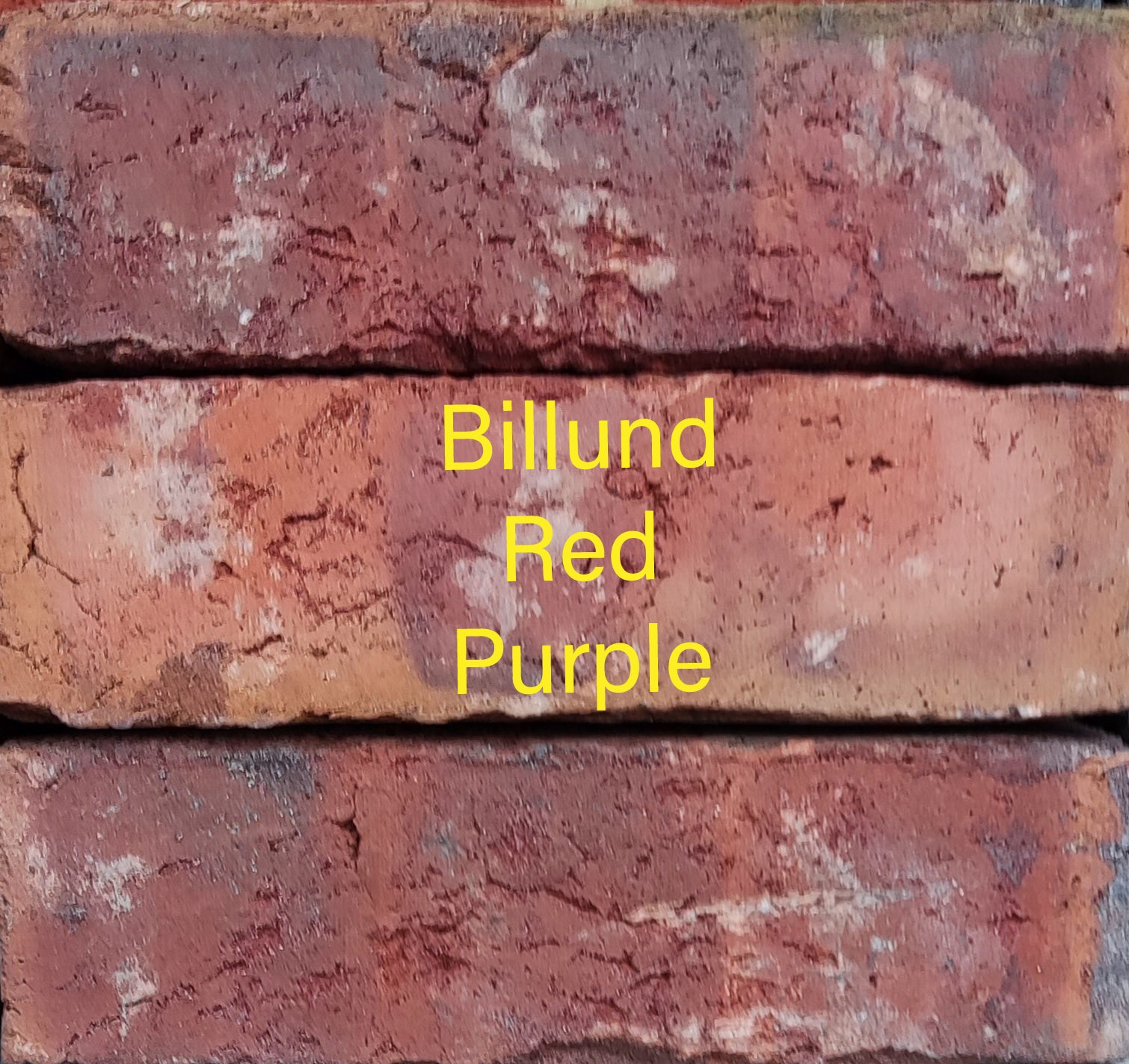 Billund Red Purple
